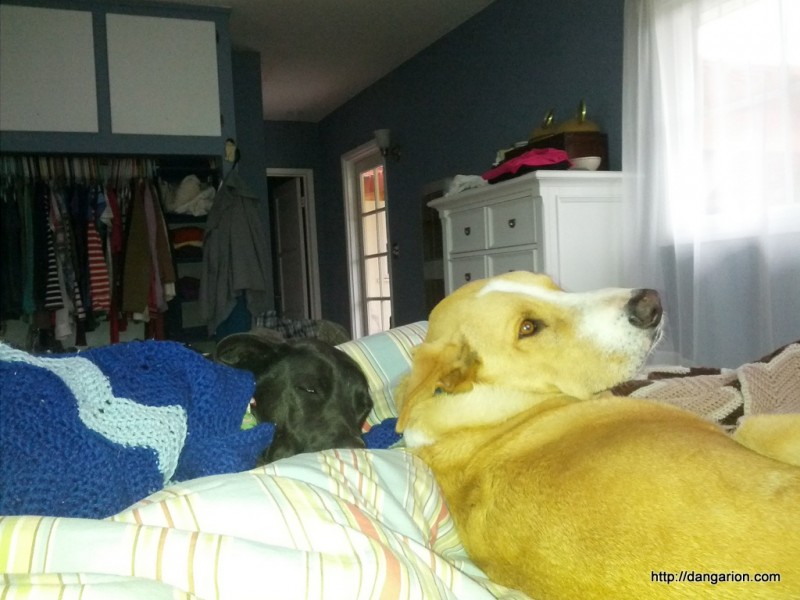 Our boys have been keeping me company in the mornings.