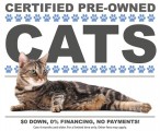 Pets Creature Shelter Cats