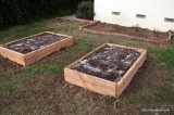 Raised vegetable bed.