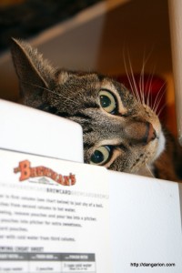 Buster peeking.