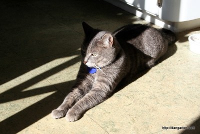 Milo gaining his strength.